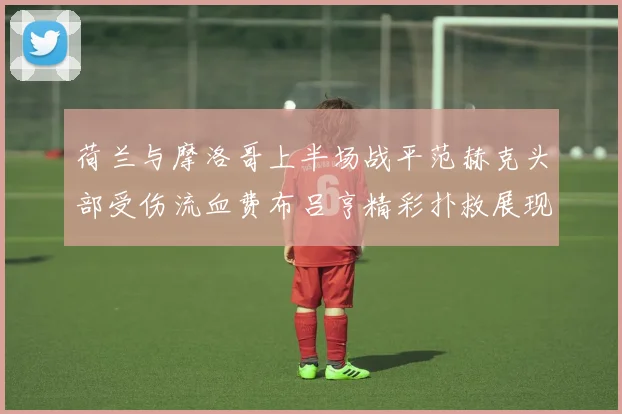 荷兰与摩洛哥上半场战平范赫克头部受伤流血费布吕亨精彩扑救展现实力