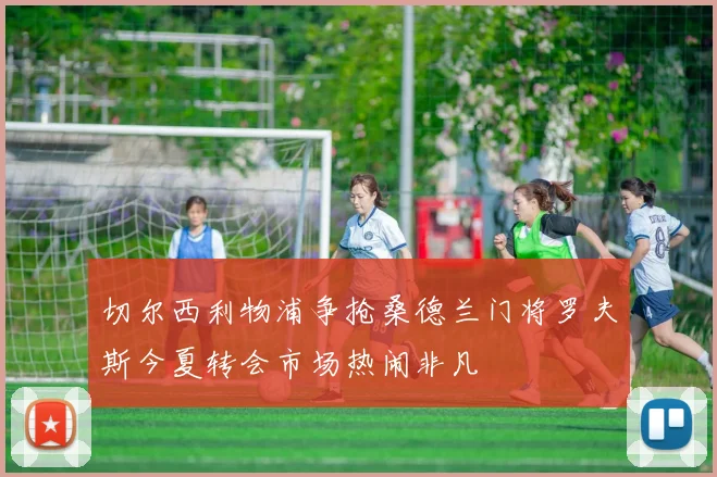 切尔西利物浦争抢桑德兰门将罗夫斯今夏转会市场热闹非凡