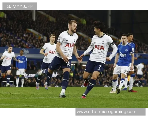 热刺3-0战胜埃弗顿范德芬荣膺队内最佳球员称号