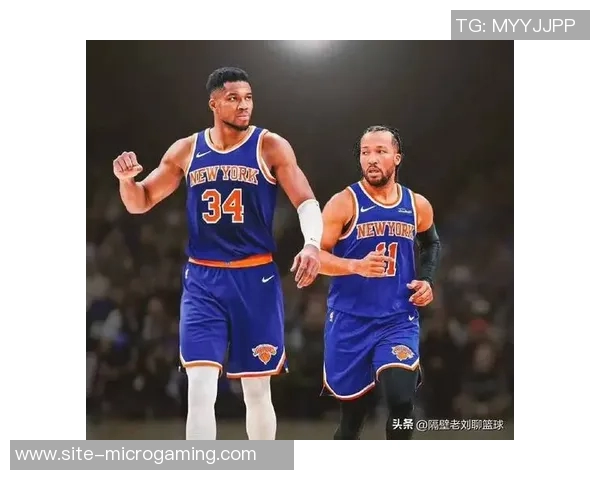 帕金斯坚定表示字母哥本赛季结束后将离开雄鹿队 帕金斯坚定表示字母哥本赛季结束后将离开雄鹿队